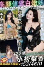 台南外送茶-小松梨香