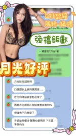 台南定點茶-月光