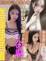 台中定點茶-白鹿