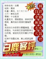 台中定點茶-白鹿