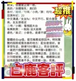 台中定點茶-白鹿