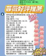 新竹定點茶-芸薇