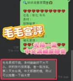 彰化定點茶-毛毛