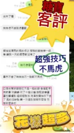 台南定點茶-姚采婷