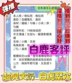 台中定點茶-白鹿