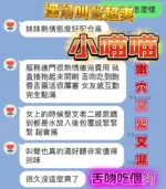 台中定點茶-小喵喵