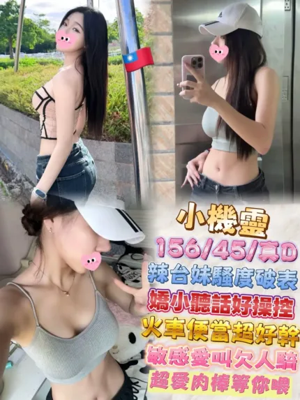 台北定點茶-小機靈
