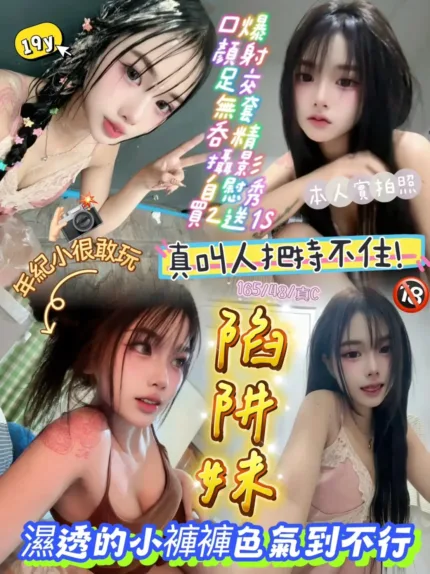 新竹定點茶-陷阱妹