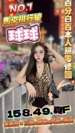 新竹定點茶-球球