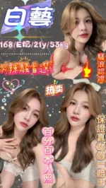 台北定點茶-白藝