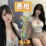 新北定點茶-香橙