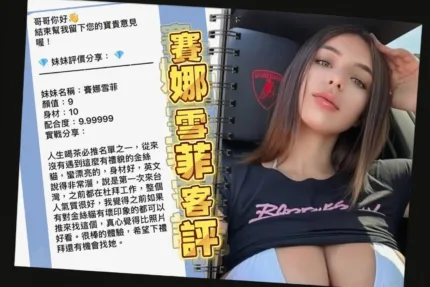 桃園定點茶-賽娜雪菲